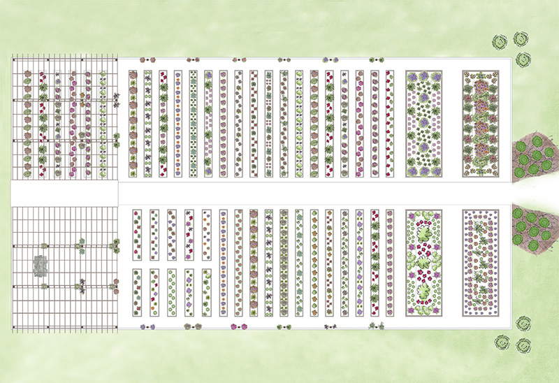 Trial Garden Map